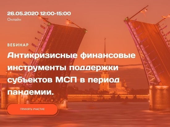 Антикризисные меры господдержки малого и среднего бизнеса в Петербурге обсудят 26 мая