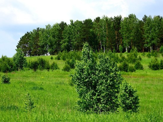 Выходные в Красноярске будут солнечными и по-летнему жаркими