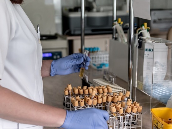 Впервые за почти три недели в Горном Алтае не выявили заболевших коронавирусом