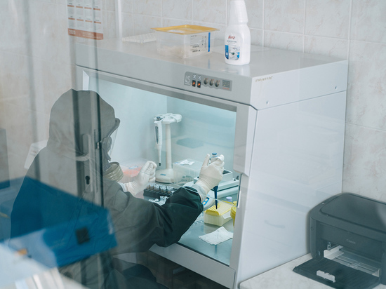 Шесть лабораторий тестируют смолян на коронавирус
