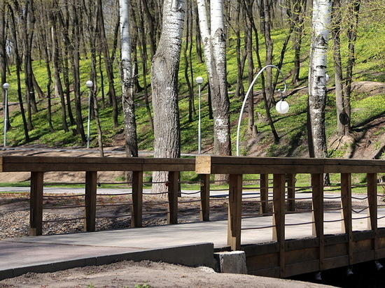 В Воронеже закрытые парки обрабатывают от клещей