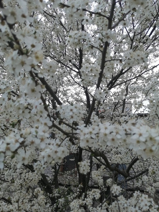 В субботу, 23 мая, теплее на Смоленщине не станет