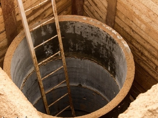 В Смоленске на Николаева усмирят нечистоты и посадят пузыреплодник