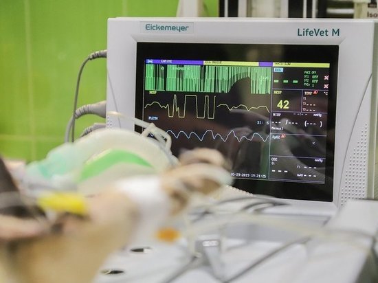 В анапском технополисе «Эра» представили веб-сервис для диагностики сердечно-сосудистых заболеваний В анапском технополисе «Эра» представили веб-сервис для диагностики сердечно-сосудистых заболеваний