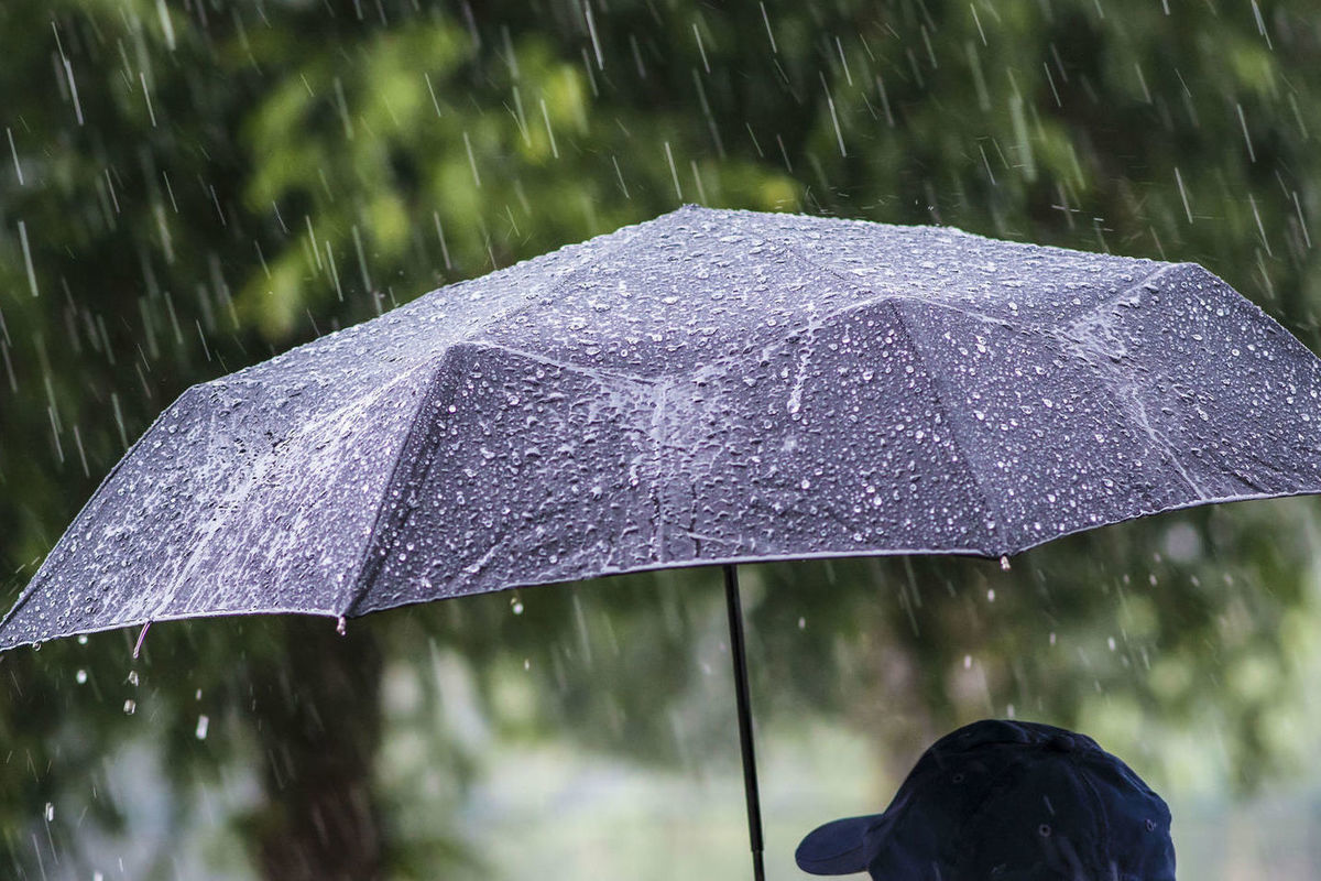 Тема дождливая погода. Мокрый зонт. Зонт под дождем. Ливень зонт. Человек с зонтом под дождем.