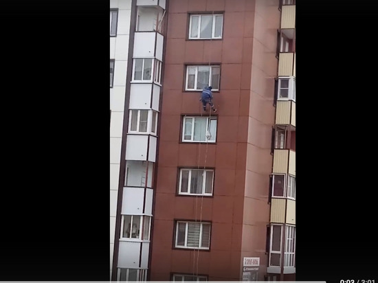 В Смоленске альпинисты спасли застрявшую в окне 6-го этажа кошку