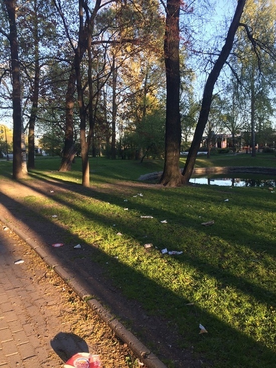 Петербургские улицы утопают в упаковках из-под фастфуда Петербургские улицы утопают в упаковках из-под фастфуда