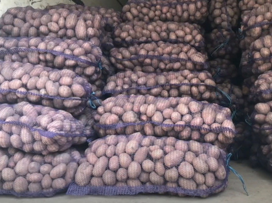 Украина впервые закупила картофель во Франции