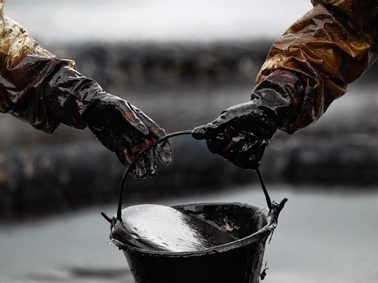 Озеро мазута найдено под Хабаровском