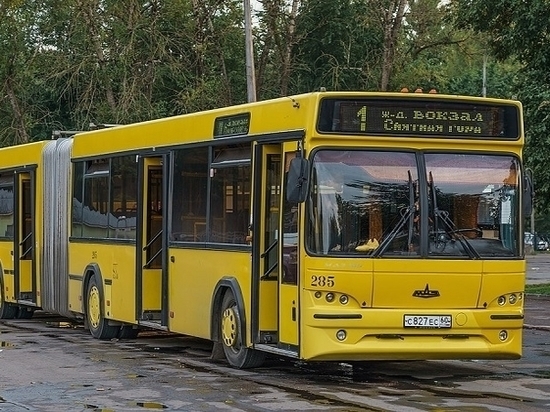 Более 25 псковских автобусов изменят маршрут из-за закрытия Троицкого моста