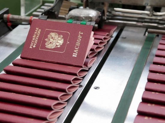 В Москве предложили использовать мобильное приложение вместо паспорта