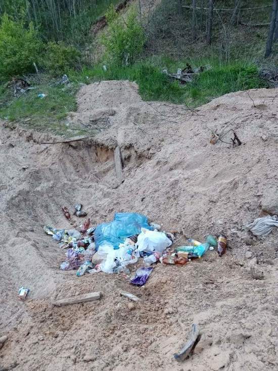 Дачники снова свалили мусор в убранный карьер в Плюсском районе