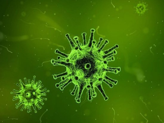209 псковичей заразились коронавирусом – рекорд среди муниципалитетов