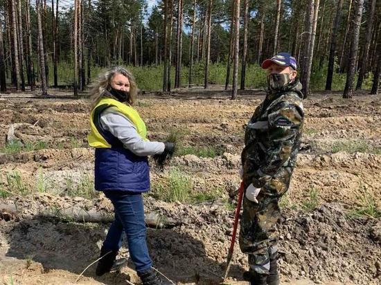 В Тюменской области высадили еще один «Сад памяти»