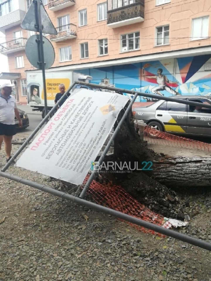 Шквалистый ветер в Барнауле обрушил дерево на машину с ребенком