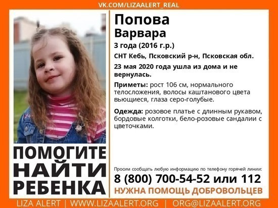О поисках трехлетней Вари: жители Петербурга сорвались с работы и приехали помогать