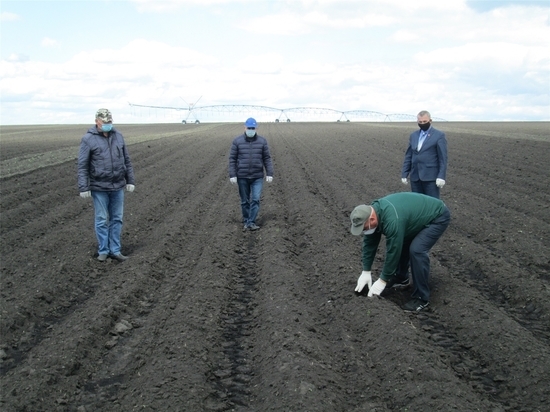 В Яльчикском районе проверяют качество проведенных весенних полевых работ