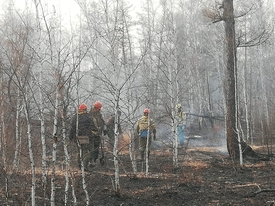 В Забайкалье 27 мая хотят потушить 4 из 13 лесных пожаров