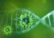 У австралийских ученых появились вопросы по поводу происхождения нового коронавируса SARS-CoV-2, который вызывает респираторное заболевание COVID-19