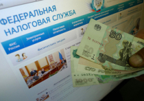 Доля россиян, допускающих отказ от оплаты налогов, достигла 45% в мае 2020-го, показало исследование Центра статистических разработок (ЦСР)