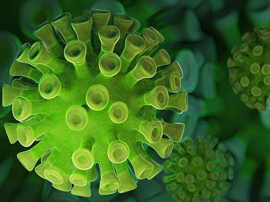 Австралийский ученый предложил версию происхождения коронавируса: идеально приспособлен для заражения