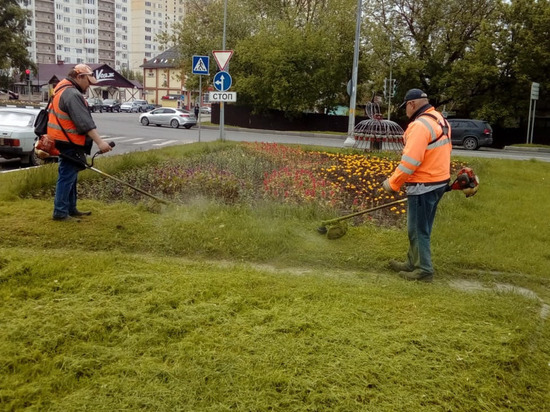 Коммунальщики Серпухова продолжают сезонную уборку