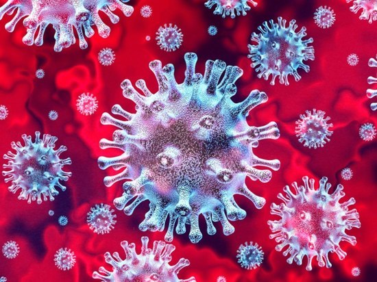 За сутки количество заболевших коронавирусом в Плесском доме-интернате выросло до 48 человек