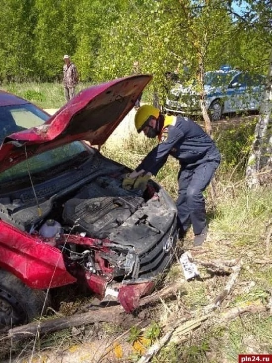 Мертвецки пьяный автомобилист попал в аварию под Гдовом