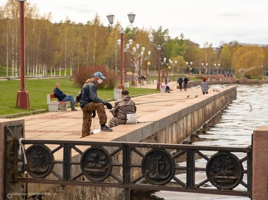 В Петрозаводске с приходом лета начала оживать городская жизнь