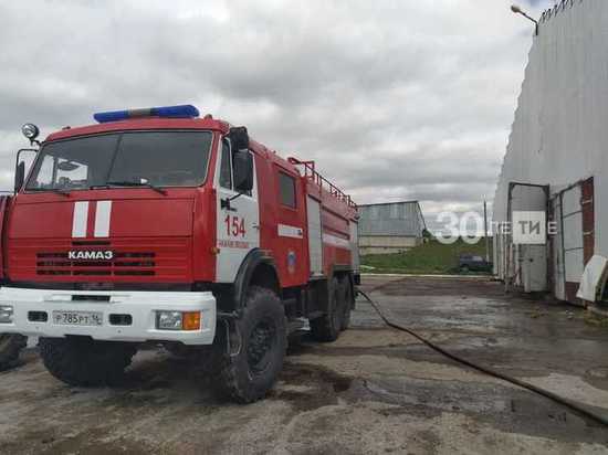 В Татарстане 360 коров спасли из пожара в коровнике