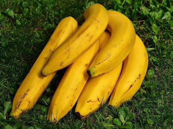 За что волгоградцы могут полюбить бананы
