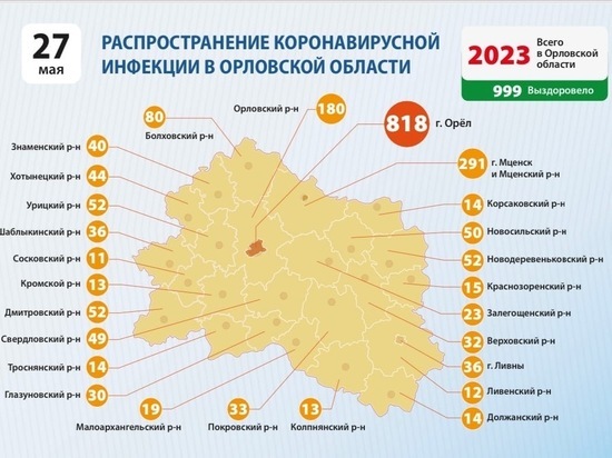 На Орловщине опубликовали статистику новых заражений по районам