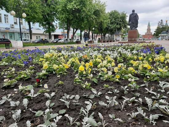 В парках и на бульварах Йошкар-Олы становится все больше цветов