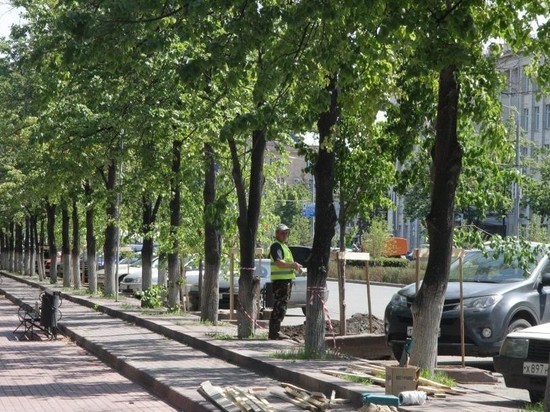В Челябинске изменили подход к озеленению