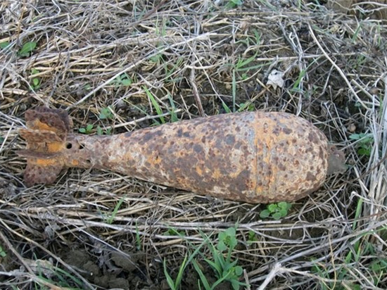 В Демидовском районе обнаружены три минометные мины