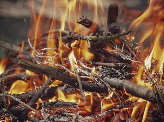 В Чувашии более ста человек оштрафовали за сжигание сухой травы