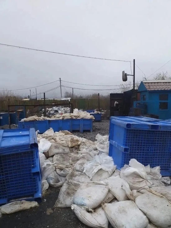 Один из районов Салехарда заполонил запах гниющих рыбных отходов
