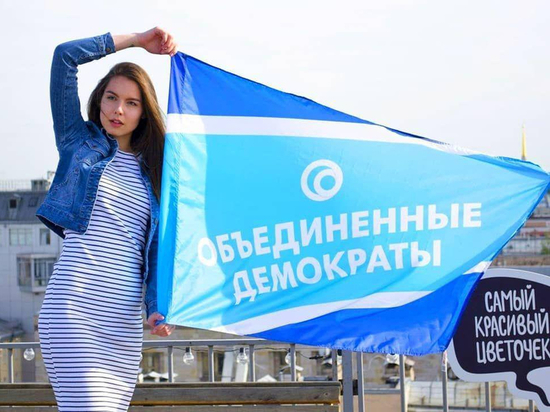 «Объединенные демократы» готовятся к выборам в Иванове и еще трех регионах