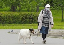 Жители Подмосковья старше 65 лет смогут, как и другие граждане в регионе, совершать прогулки при условии соблюдения правил безопасности