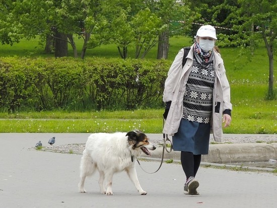 В Подмосковье разрешили гулять пенсионерам старше 65 лет