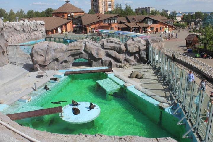 Ижевский зоопарк график работы 1 января расписание