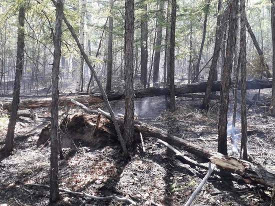 Площадь лесных пожаров сократилась в 5 раз за сутки в Забайкалье