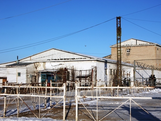 УФСИН построит котельную за 60 млн рублей в колонии Оловянной