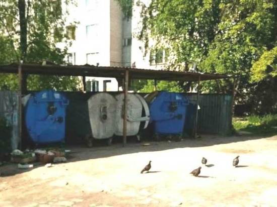 Целый ряд контейнерных площадок в Иванове проверили после сообщений от местных жителей