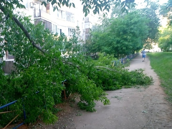 На тропинке возле школы в Оренбурге лежит сваленное ветром дерево