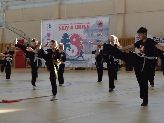 Турниры по цигун и карате пройдут в онлайн-формате в Забайкалье