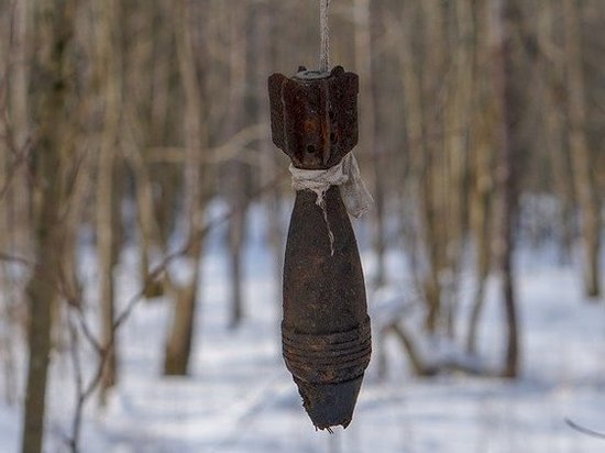 У татарстанца изъяли боеприпасы времен Гражданской войны