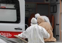 Заммэра Москвы по вопросам соцразвития Анастасия Ракова заявила, что в городе снижается число ежедневных госпитализаций пациентов с коронавирусом COVID-19