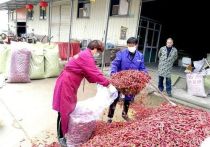Китайские власти сделали сенсационное признание: источником COVID-19, как они настаивали раньше, был вовсе не рынок диких животных в Ухане