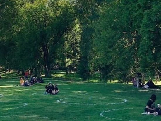 В казанском парке Горького появились дистанционные разметки для пикников